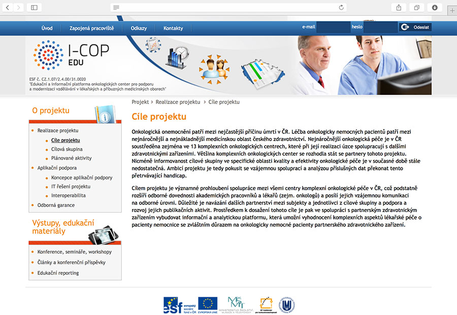 I-COP: informational and analytical platform enabling the evaluation of complex aspects of health care provided to cancer patients in particular