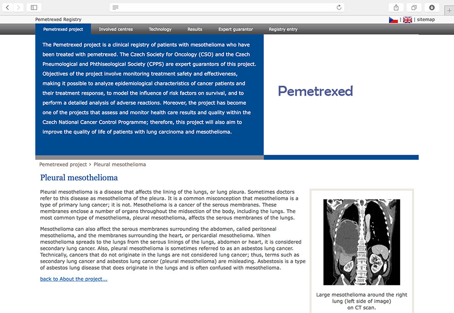 PEMETREXED: clinical registry of patients with non-small cell lung cancer or pleural mesothelioma