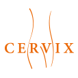 Cervix.cz – Cervical Cancer Screening Programme in the Czech Republic